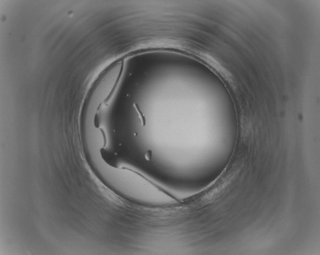 X0000071850988200606301333