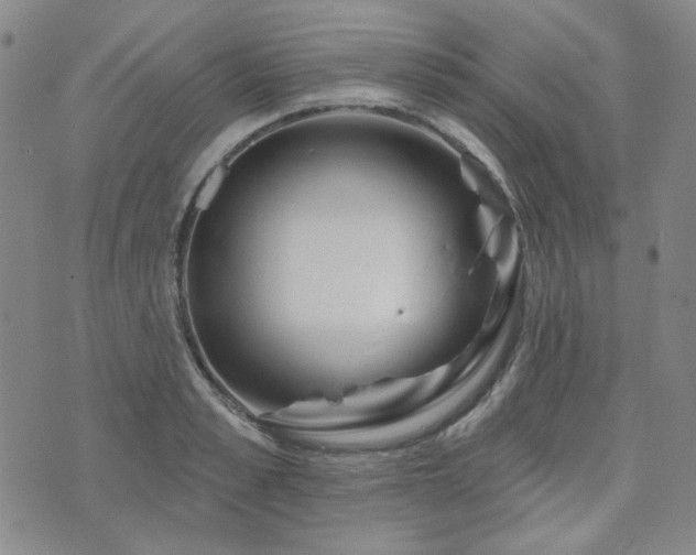 X0000071850989200606301333