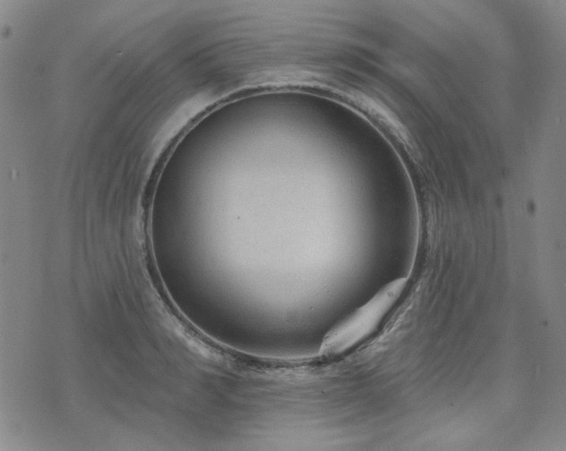 X0000071850990200606301333