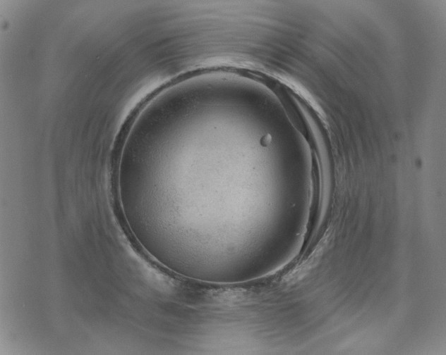 X0000071850991200606301333