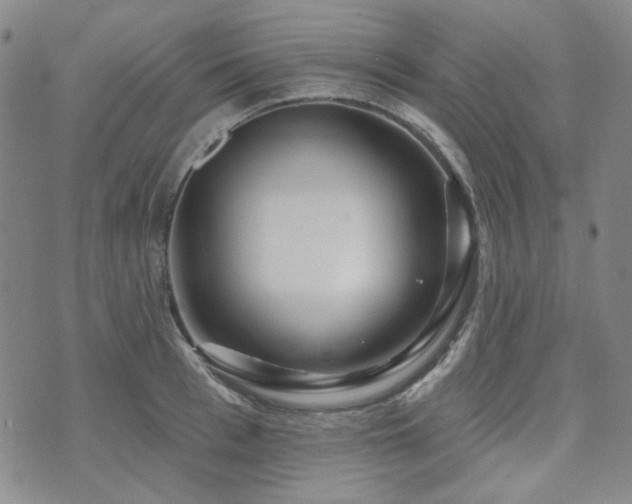 X0000071850993200606301333