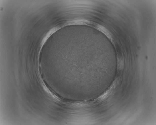 X0000071850994200606301333