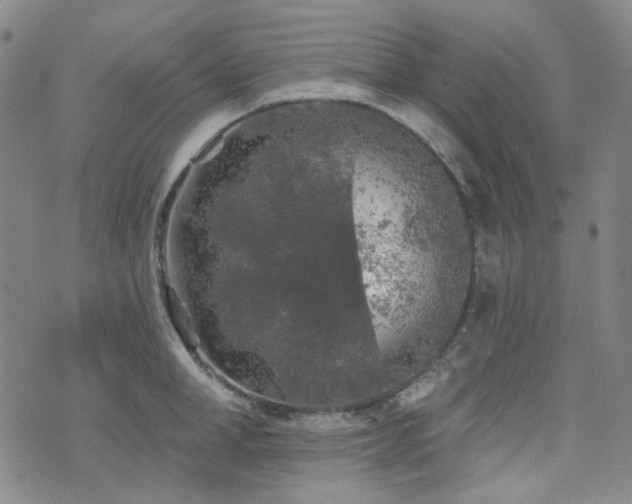 X0000071850998200606301333