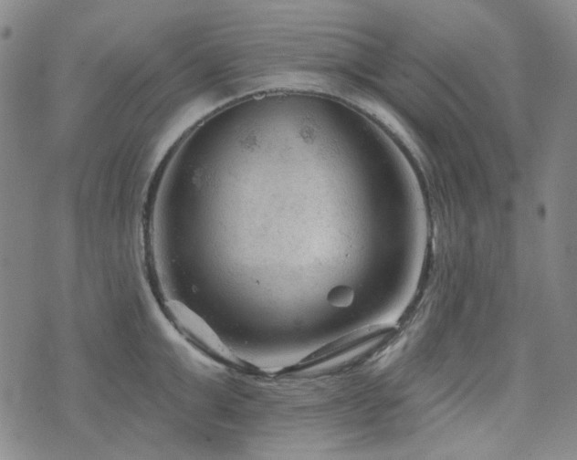 X0000071850999200606301333