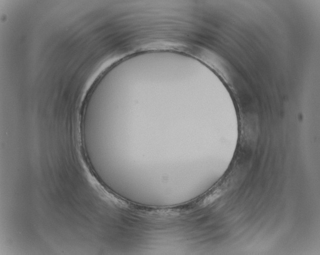 X0000071851000200606301333