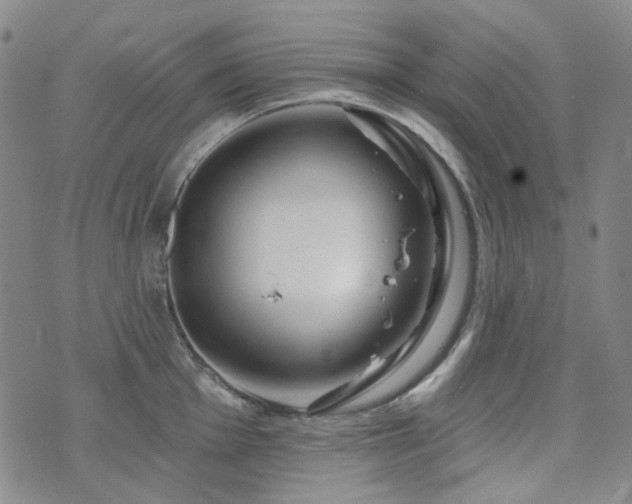 X0000071851001200606301333