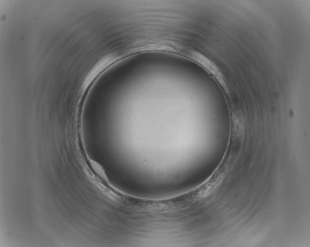 X0000071851002200606301333