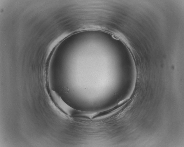 X0000071851003200606301332