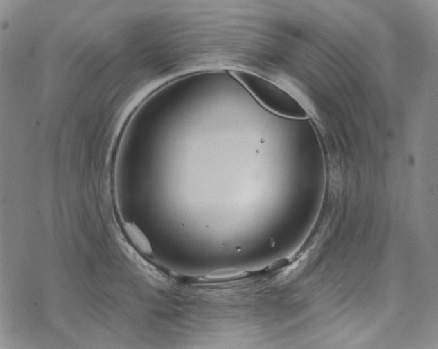 X0000071851004200606301332