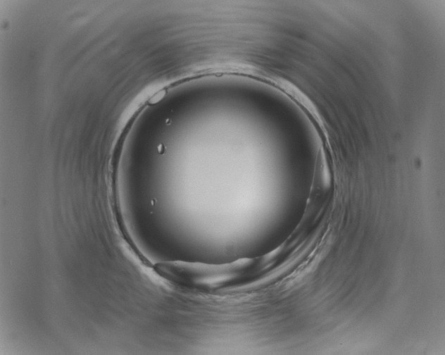 X0000071851005200606301332