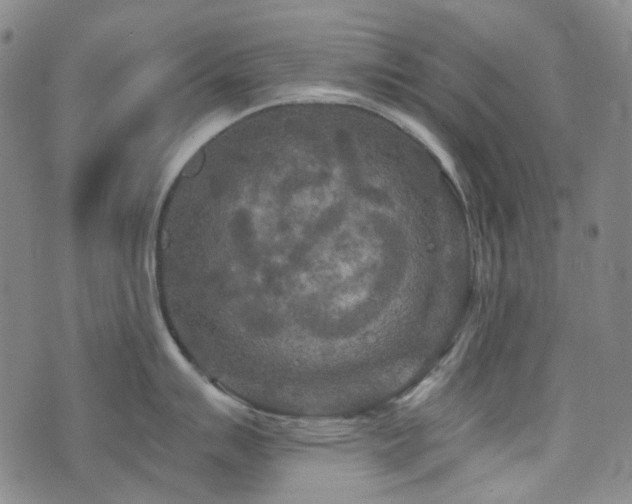 X0000071851007200606301332