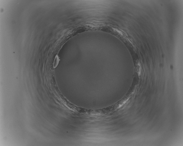 X0000071851009200606301332