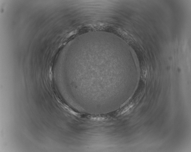 X0000071851010200606301332