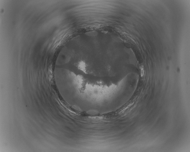 X0000071851011200606301332