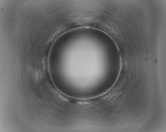 X0000071851012200606301332