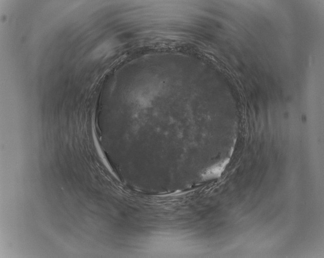 X0000071851013200606301332