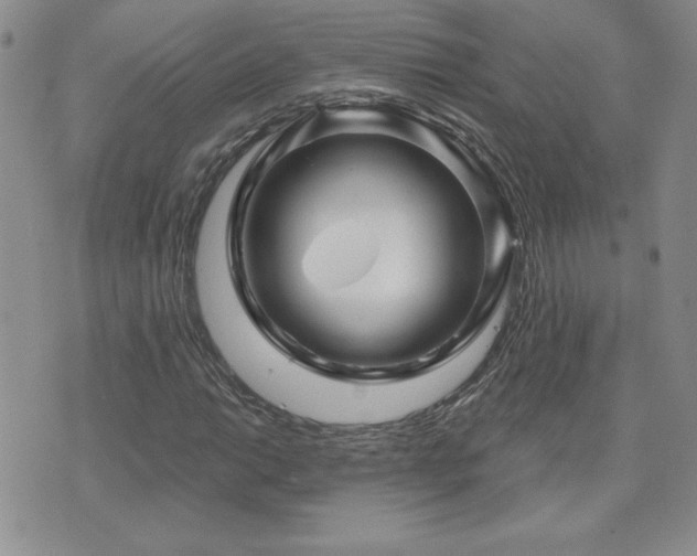 X0000071851014200606301332