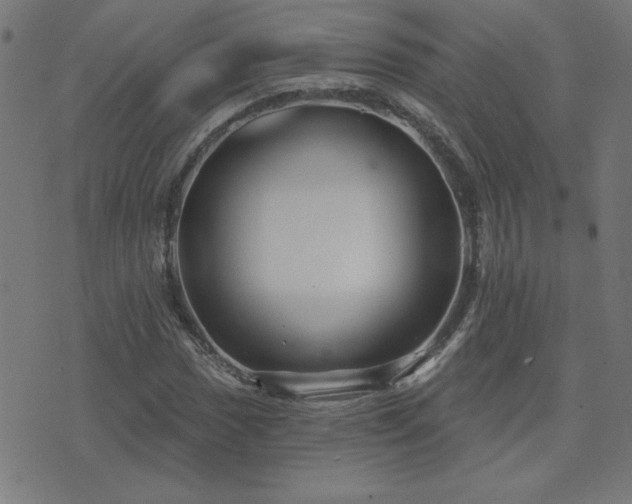 X0000071851017200606301332