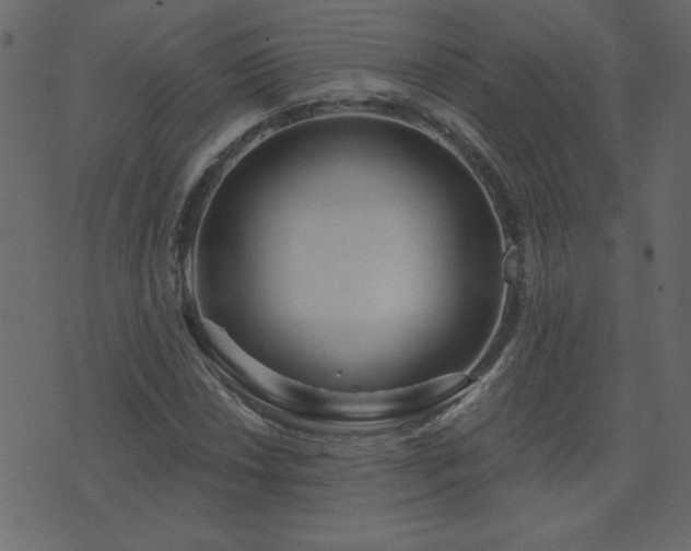 X0000071851018200606301332