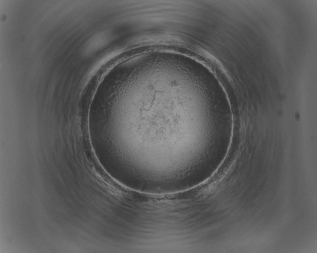 X0000071851019200606301332