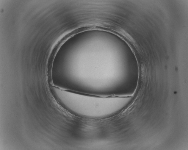 X0000071851020200606301332