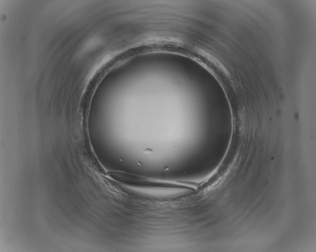 X0000071851021200606301332