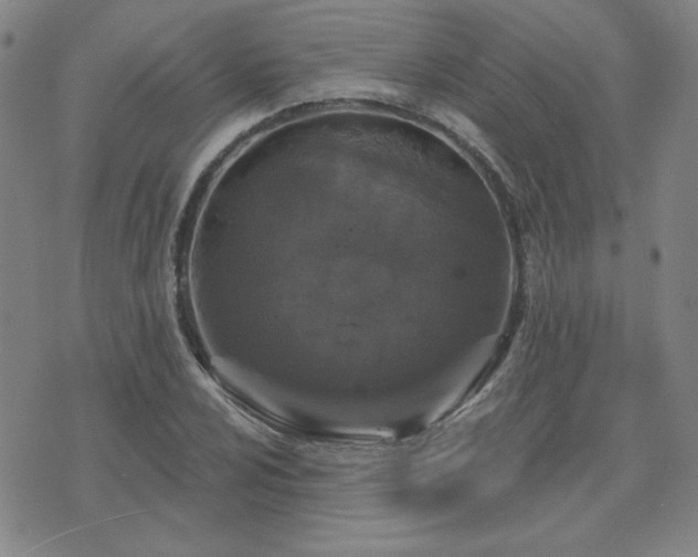 X0000071851024200606301332