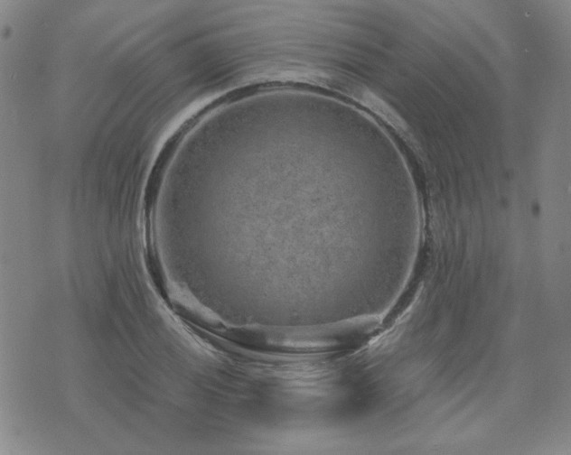 X0000071851028200606301332