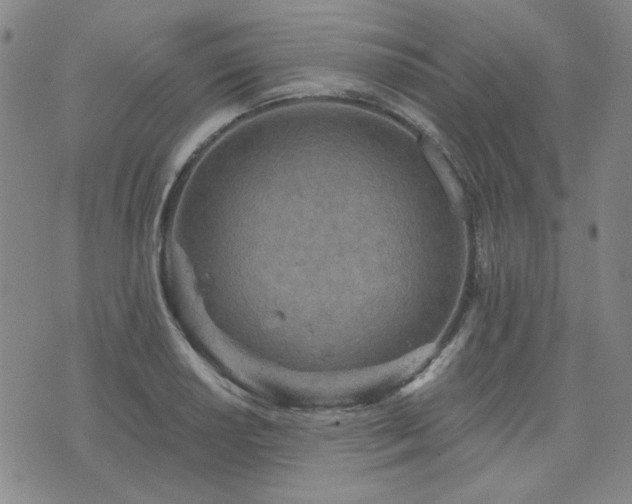 X0000071851034200606301332