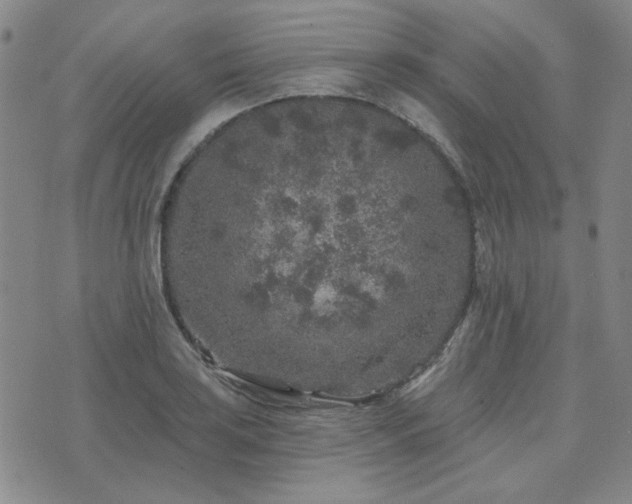 X0000071851035200606301332