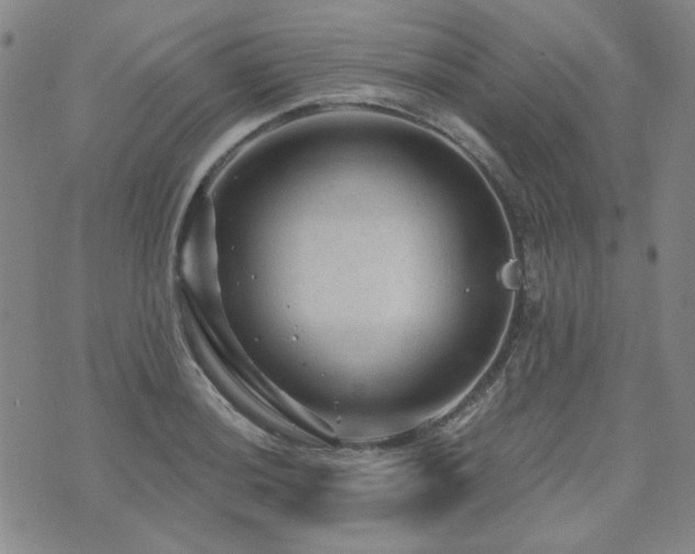 X0000071851036200606301332