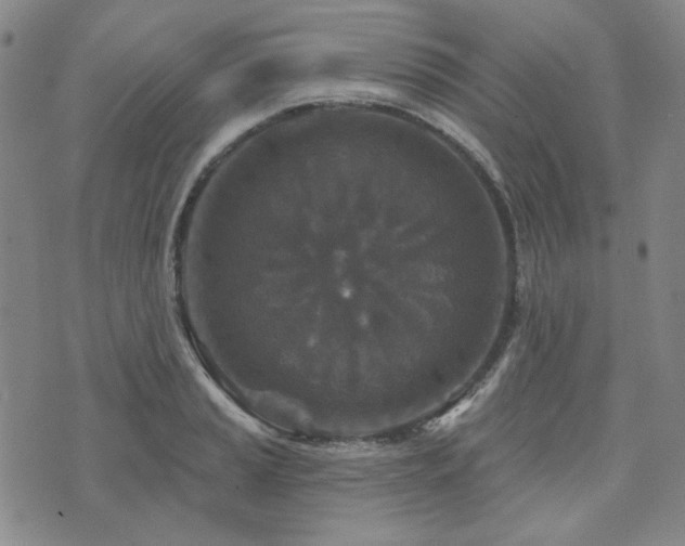 X0000071851037200606301332