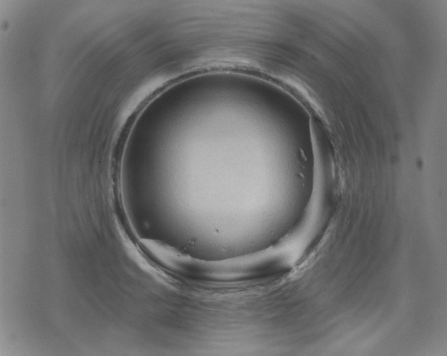 X0000071851038200606301332