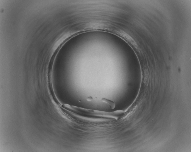 X0000071851039200606301332