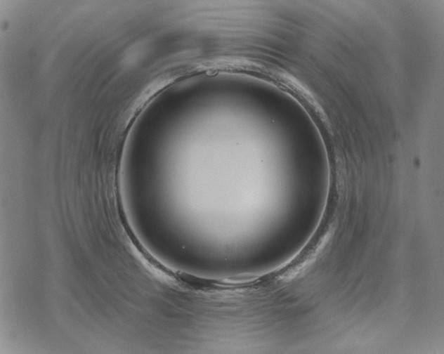 X0000071851041200606301332