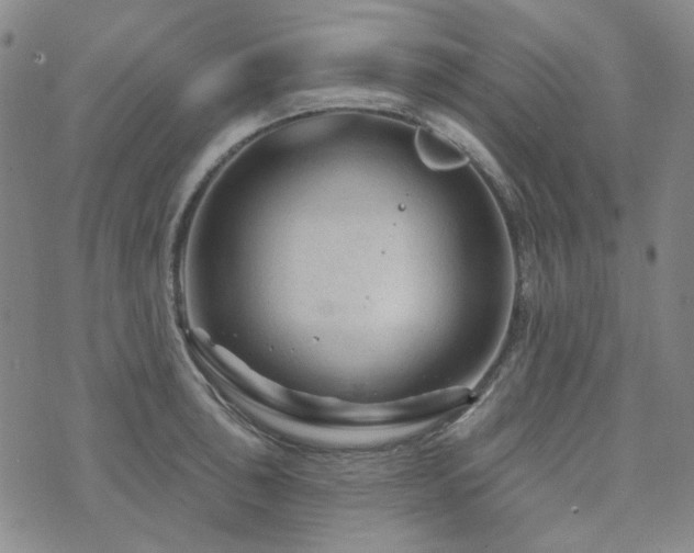 X0000071851043200606301332