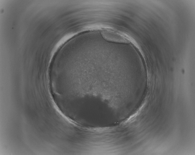 X0000071851045200606301332