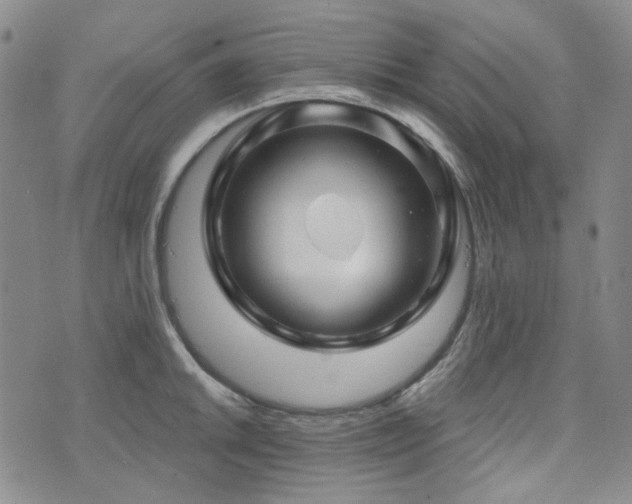 X0000071851046200606301332