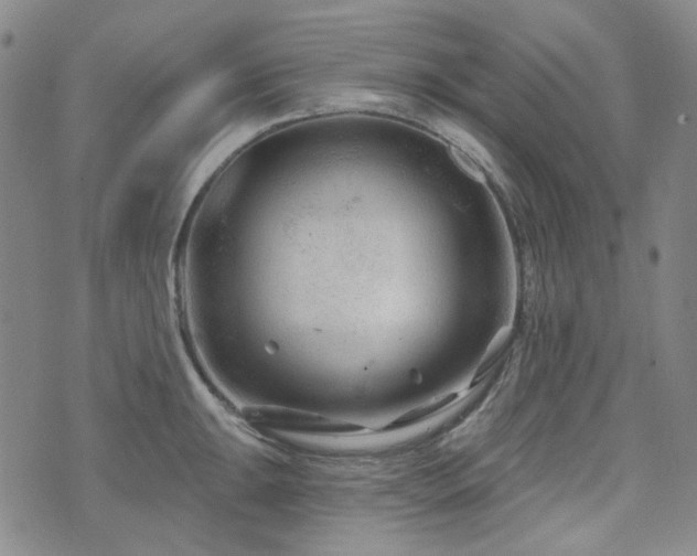 X0000071851047200606301332