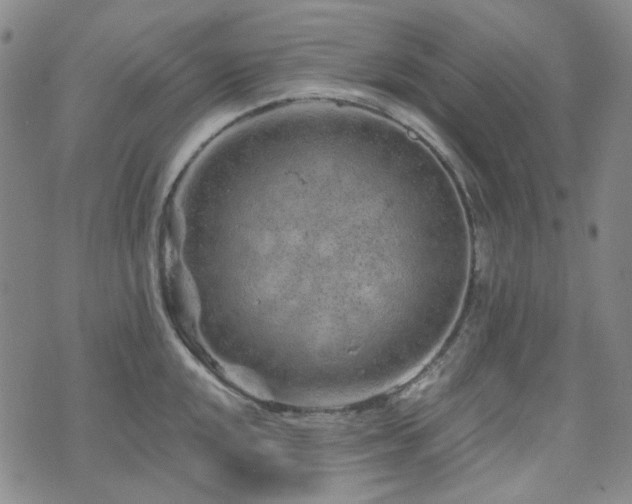 X0000071851048200606301332