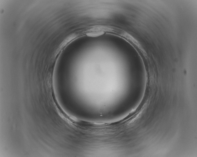 X0000071851049200606301332