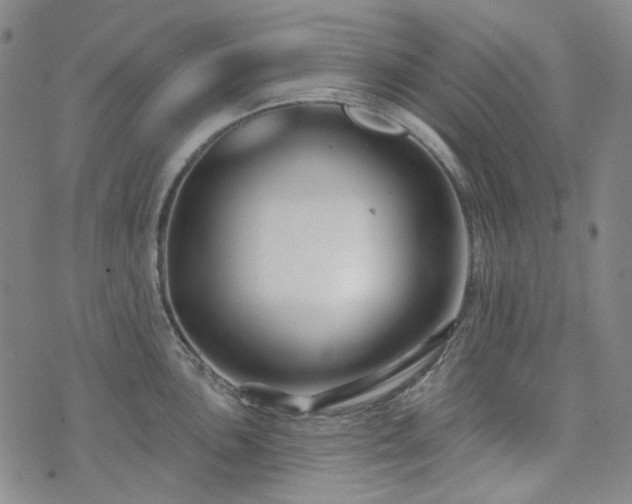 X0000071851051200606301332