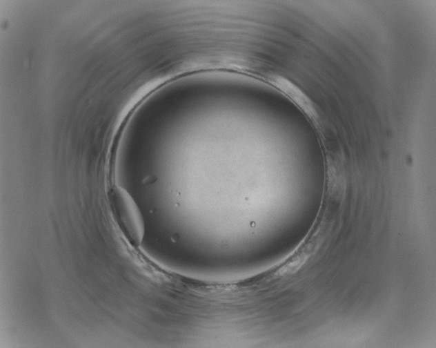 X0000071851052200606301332