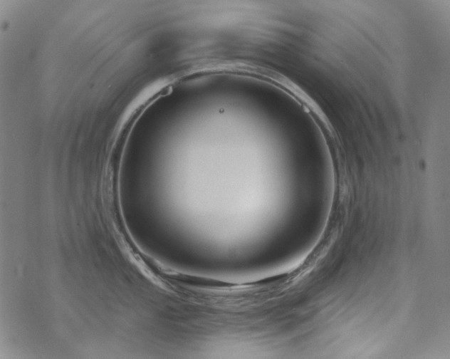 X0000071851053200606301332