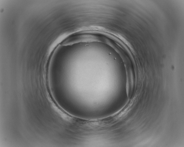 X0000071851054200606301332