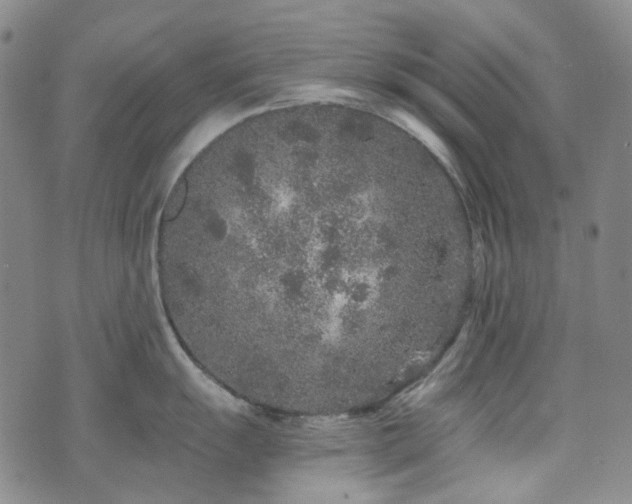 X0000071851055200606301332