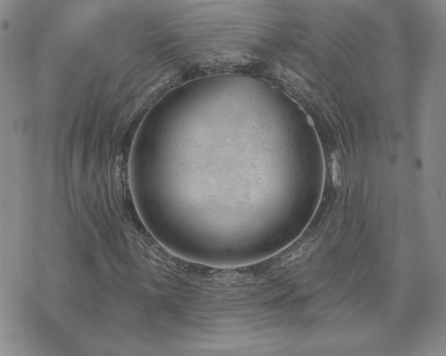 X0000071851059200606301332