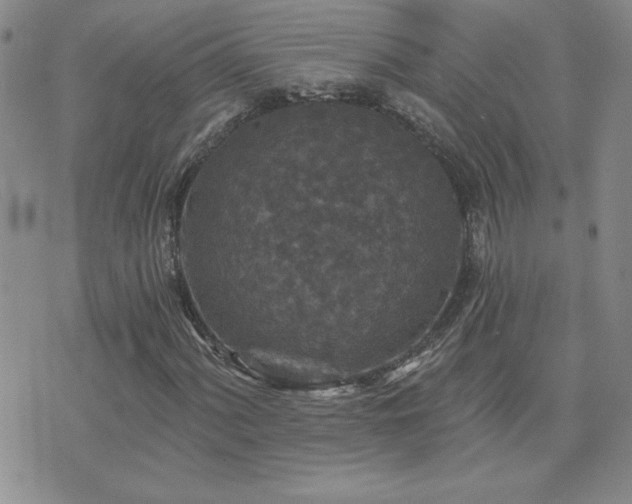 X0000071851060200606301332