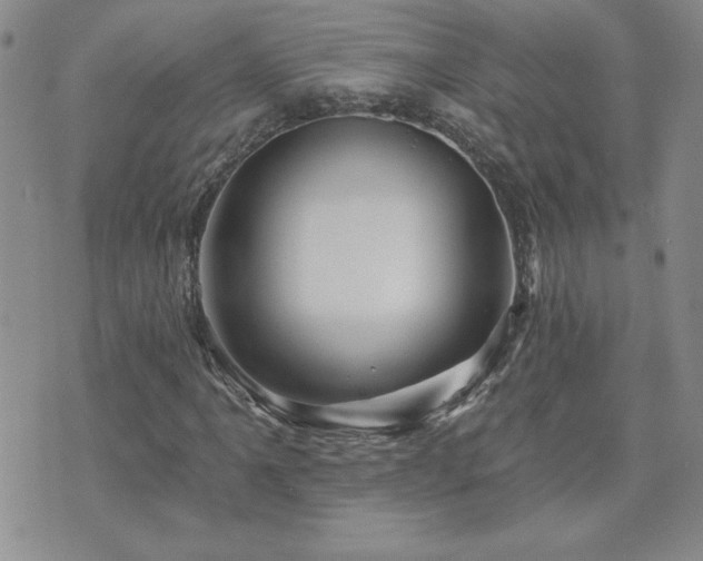 X0000071851061200606301332