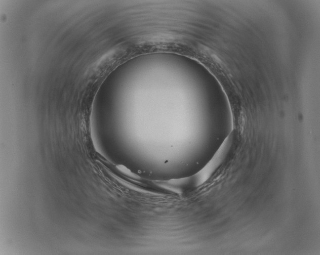 X0000071851062200606301332